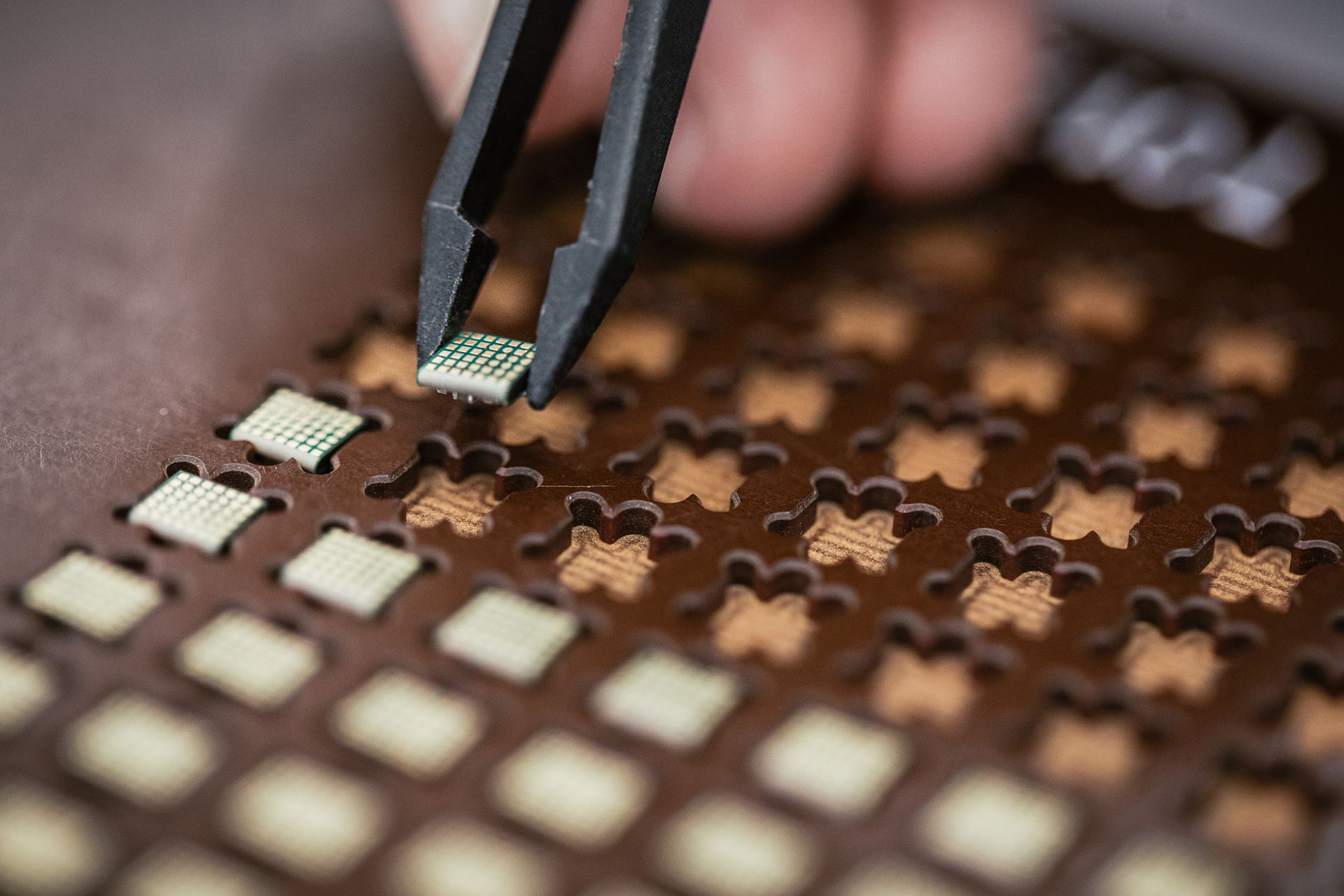 Features Explained Chips